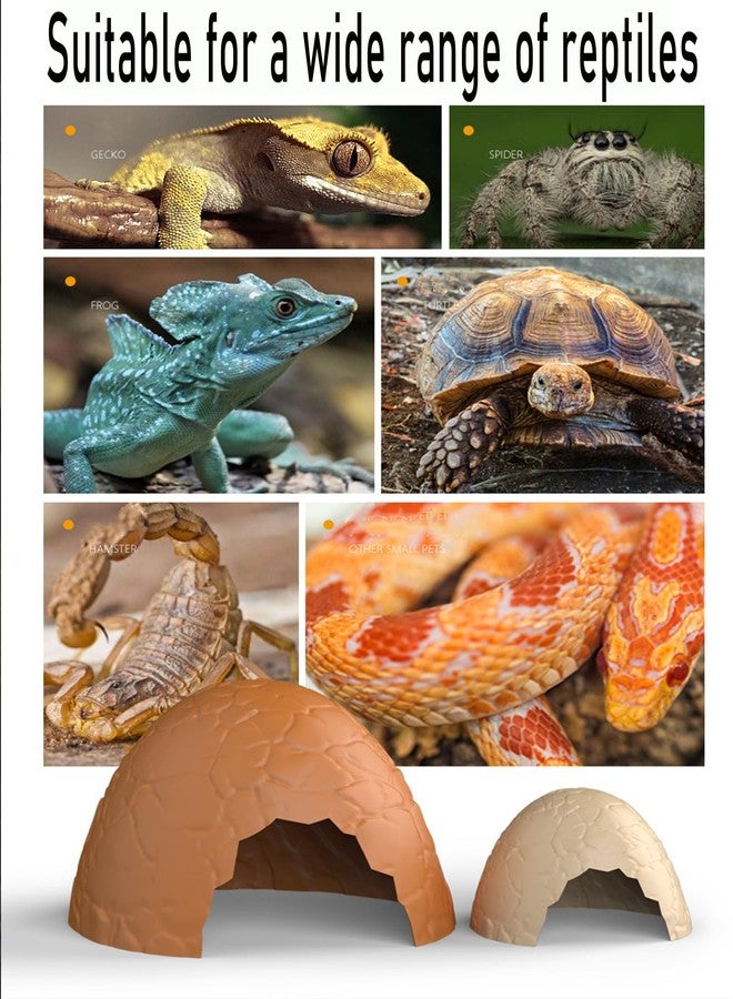 Delllala 6Pcs Reptile Hide,Reptile Use Hide Cave for Snakes， Crested Gecko, Leopard Gecko,Snake, Crabs Hide Cave (Brown, Regular) - Image 5